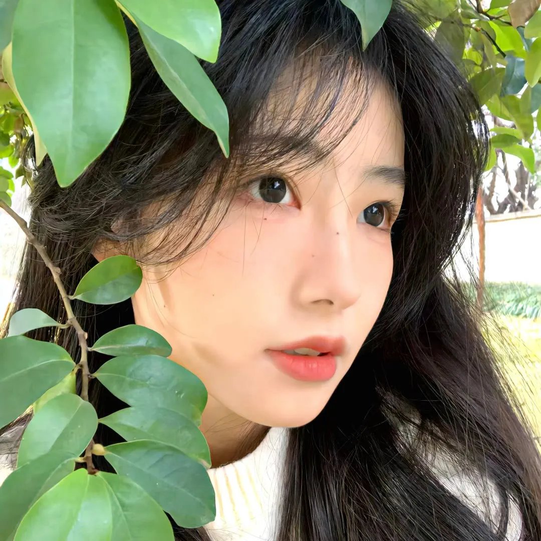 别墅灾星
